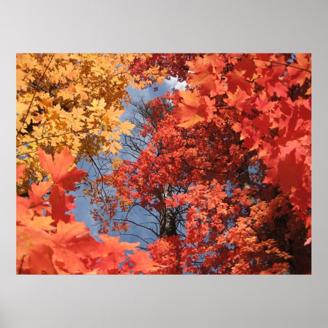 Fall Fantasy (2) Poster (Frente)