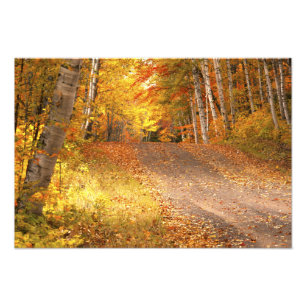 Fall Foliage Rural Road U.P. Michigan Fotografia