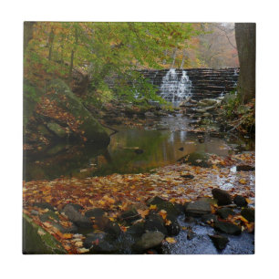 Fall Waterfall e Creek Pennsylvania Nature Photo