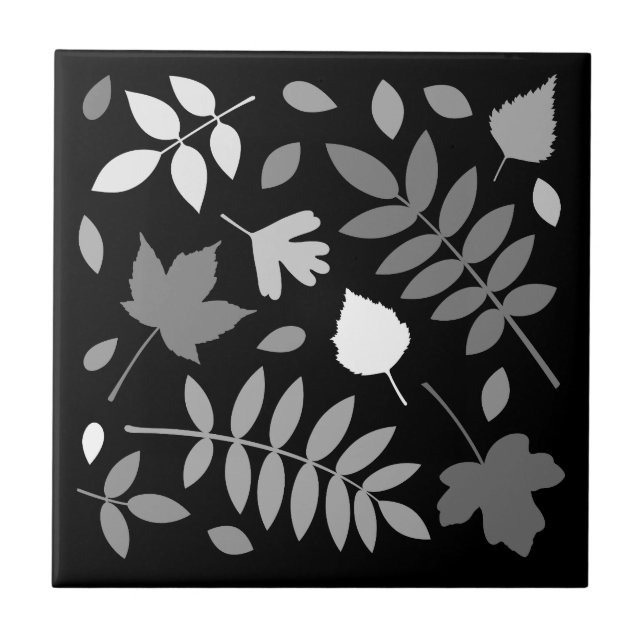 Fallen Deixa Design Grays White Black (Frente)