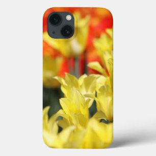 Falln Floral Summer Glow