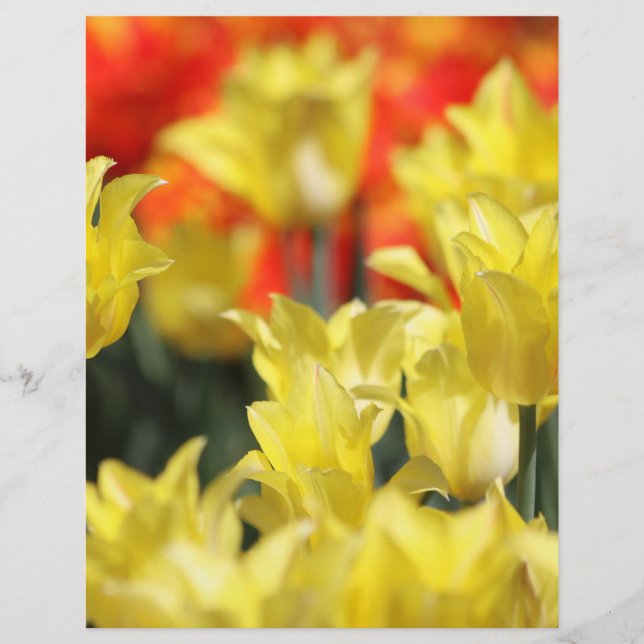Falln Floral Summer Glow (Frente)