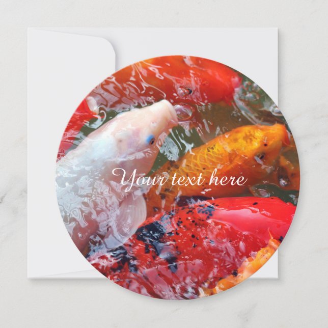 Falln Gathering Koi (Frente)