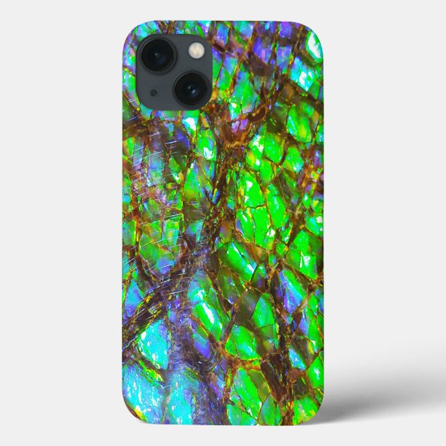 Falln Peacock Ammolite (Verso)