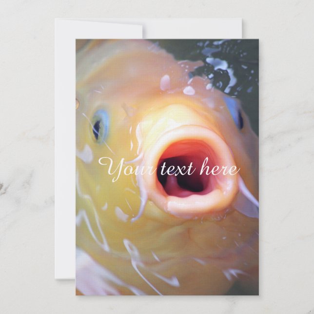 Falln Singing Ghost Koi (Frente)