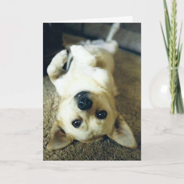 falta do cartão de saudação (Frente)