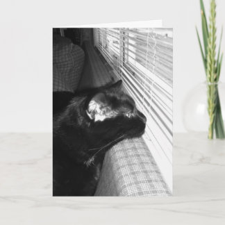 Falta-lhe o cartão de gato preto