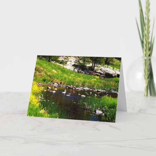 Falta-lhe o cartão espanhol (Frente)