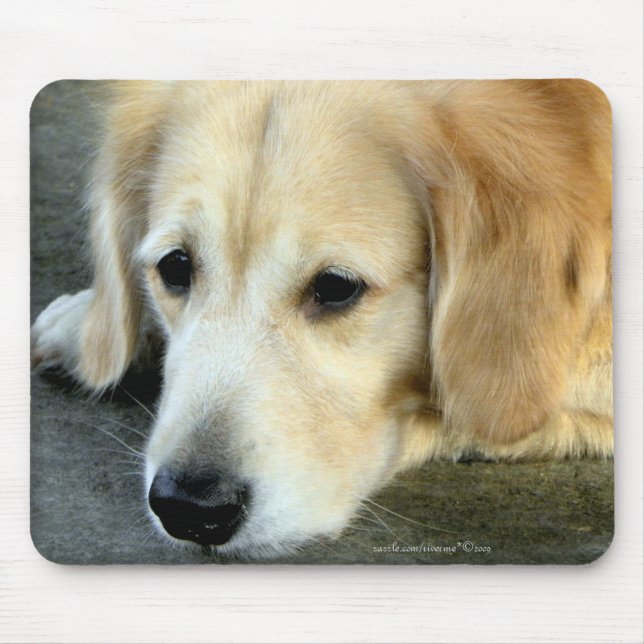 Faltando o/presente Mousepad do golden retriever (Frente)