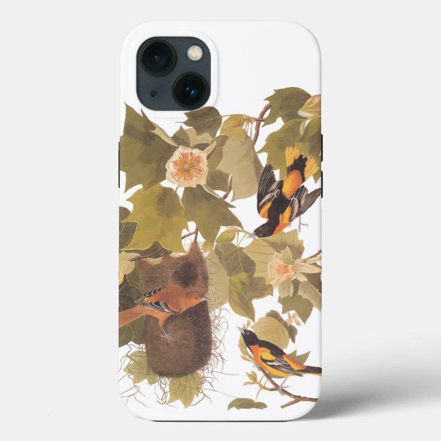 Família Baltimore Oriole Audubon Bird com Nest (Verso)