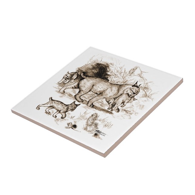 Família Bobcat (Lateral)