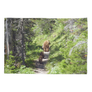 Família Brown Bear