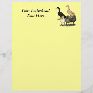 Família de Pato Camada Dourada