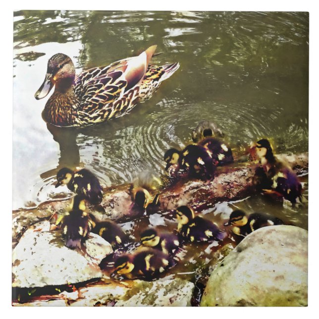 Família de Patos (Frente)