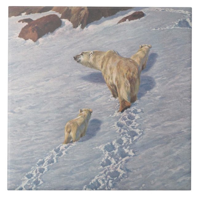 Família de Ursos Polares na Neve Ártica (Frente)