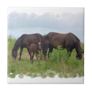 Família do cavalo que pasta o azulejo