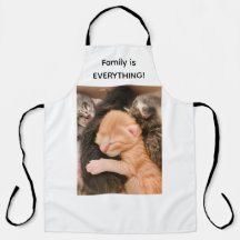 Família é Tudo, Avental de Gatinho