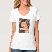 Família é Tudo, Camiseta de Gatinho