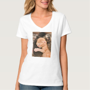 Família é Tudo, Camiseta de Gatinho