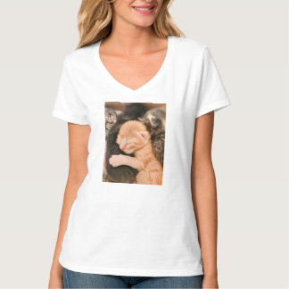 Família é Tudo, Camiseta de Gatinho