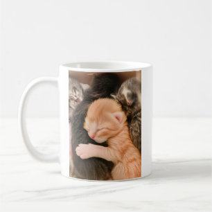 Família é Tudo, Caneca de Café com Gatinho