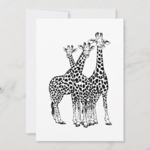 Família Giraffe