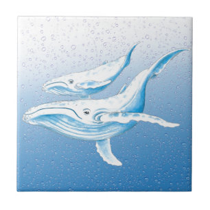 Família Humpback