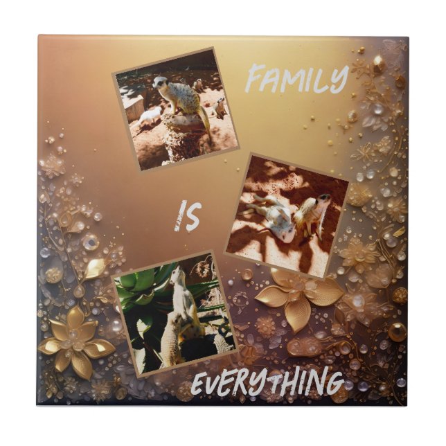 Família Meerkats É Tudo, (Frente)