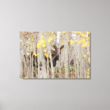 Família Moose na Arte Canvas Aspens