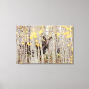 Família Moose na Arte Canvas Aspens