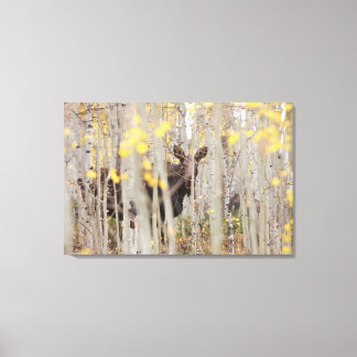 Família Moose na Arte Canvas Aspens