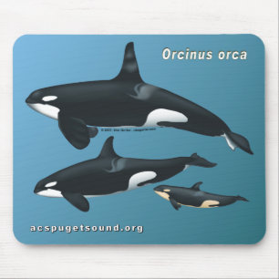 Família Mousepad da baleia de assassino no fundo