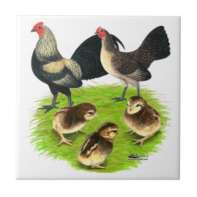 Família pequena inglesa velha da parte traseira do (Frente)