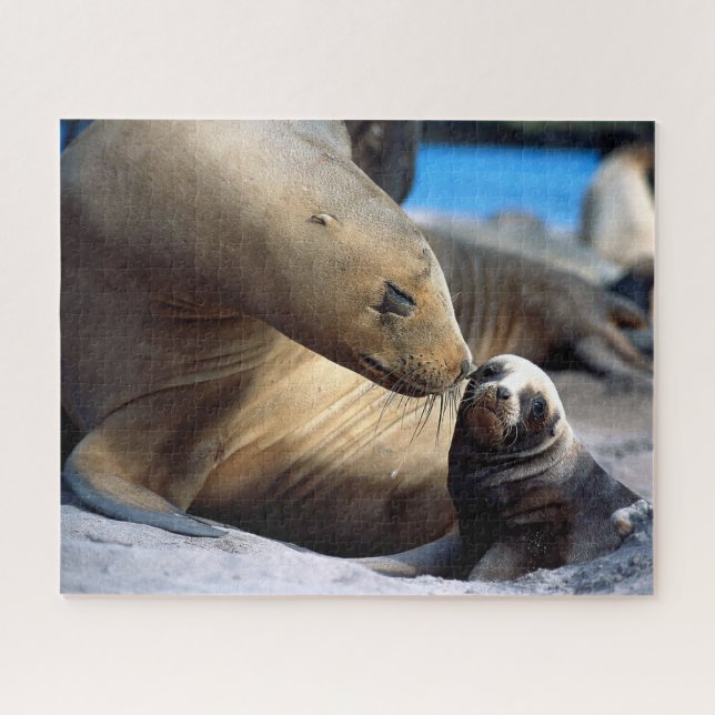Família Sea Lion, Jigsee Quebra-cabeça (Horizontal)