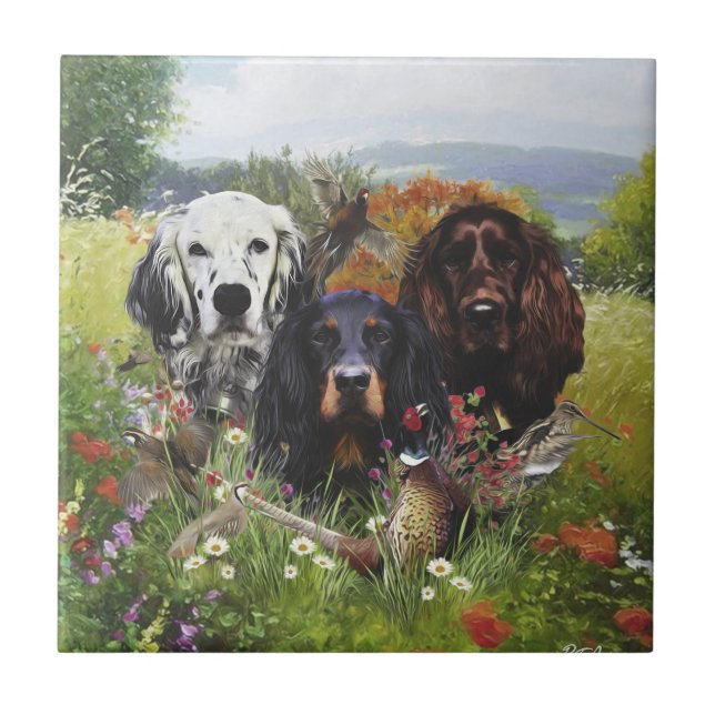 Família Setters (Frente)