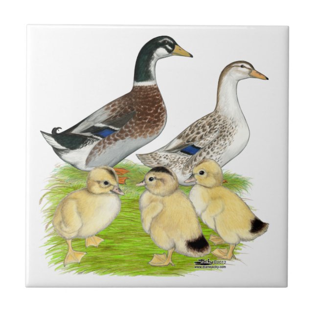 Família Silver Appleyard (Frente)