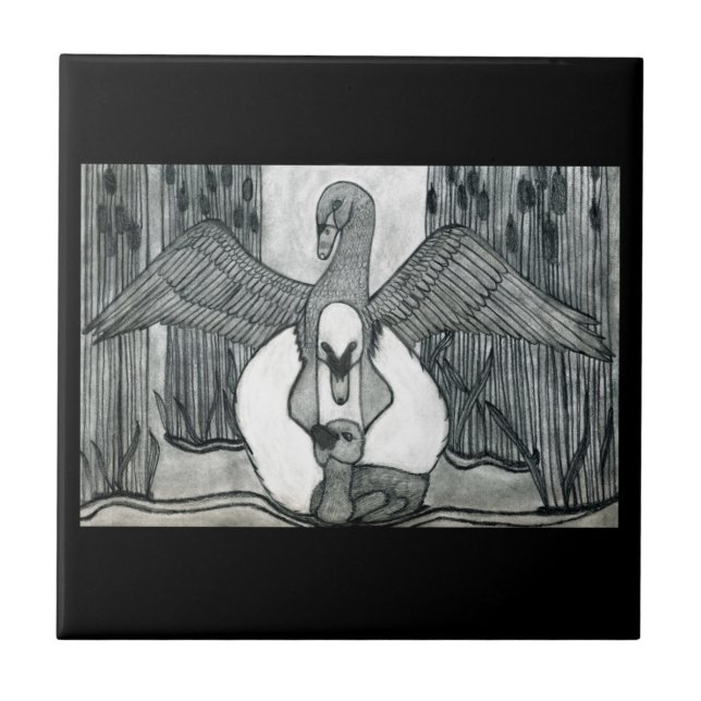 Família Swan (Frente)