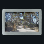 Família Wallaby Australiana Na Ilha De Kangaroo,<br><div class="desc">Foto de uma estrada de terra alinhada com Gum tree uma família Wallaby está desfrutando de uma tarde quente e olhando curiosamente</div>
