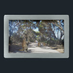 Família Wallaby Australiana Na Ilha De Kangaroo,<br><div class="desc">Foto de uma estrada de terra alinhada com Gum tree uma família Wallaby está desfrutando de uma tarde quente e olhando curiosamente</div>