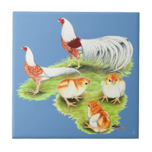 Família Yokohama Red Shoulder