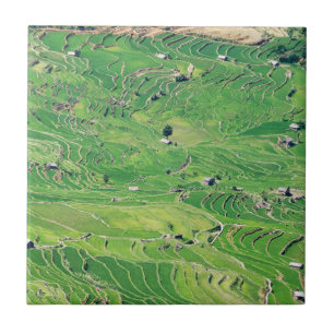 Famosos Yuanyang Rice Terraces - Yunnan, China