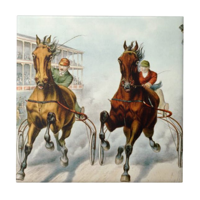 Fanático SUPERIOR do meta (Frente)