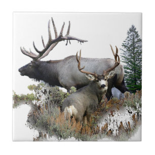 Fanfarrão do troféu do touro do monstro