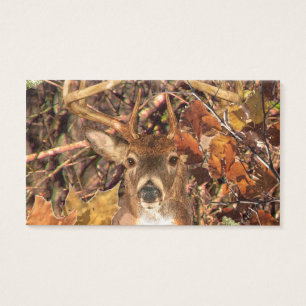 Fanfarrão em cervos da cauda branca de Camo