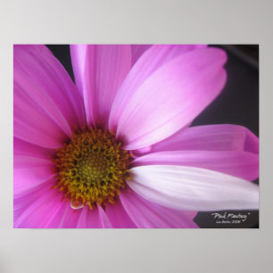 Fantasia cor-de-rosa - poster