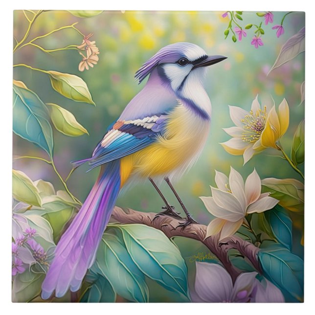 Fantasia de Pássaro Violeta Crestado (Frente)