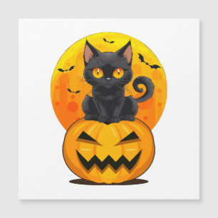 Fantasias de Halloween de Abóbora de Gato Preto