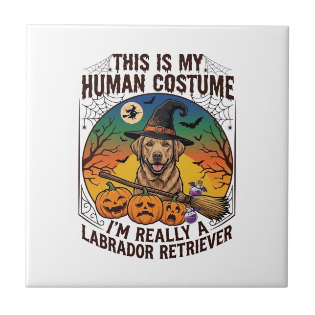 Fantasias de Labrador Retriever para Humanos Hallo (Frente)