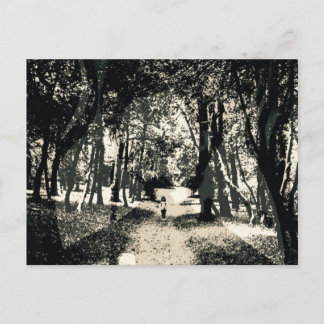 Fantasma assustador no cartão da imagem das