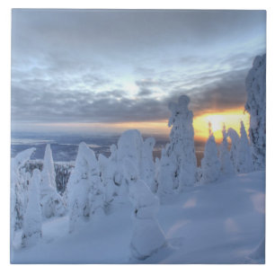 Fantasmas de neve ao pôr do sol na Montanha Whitef